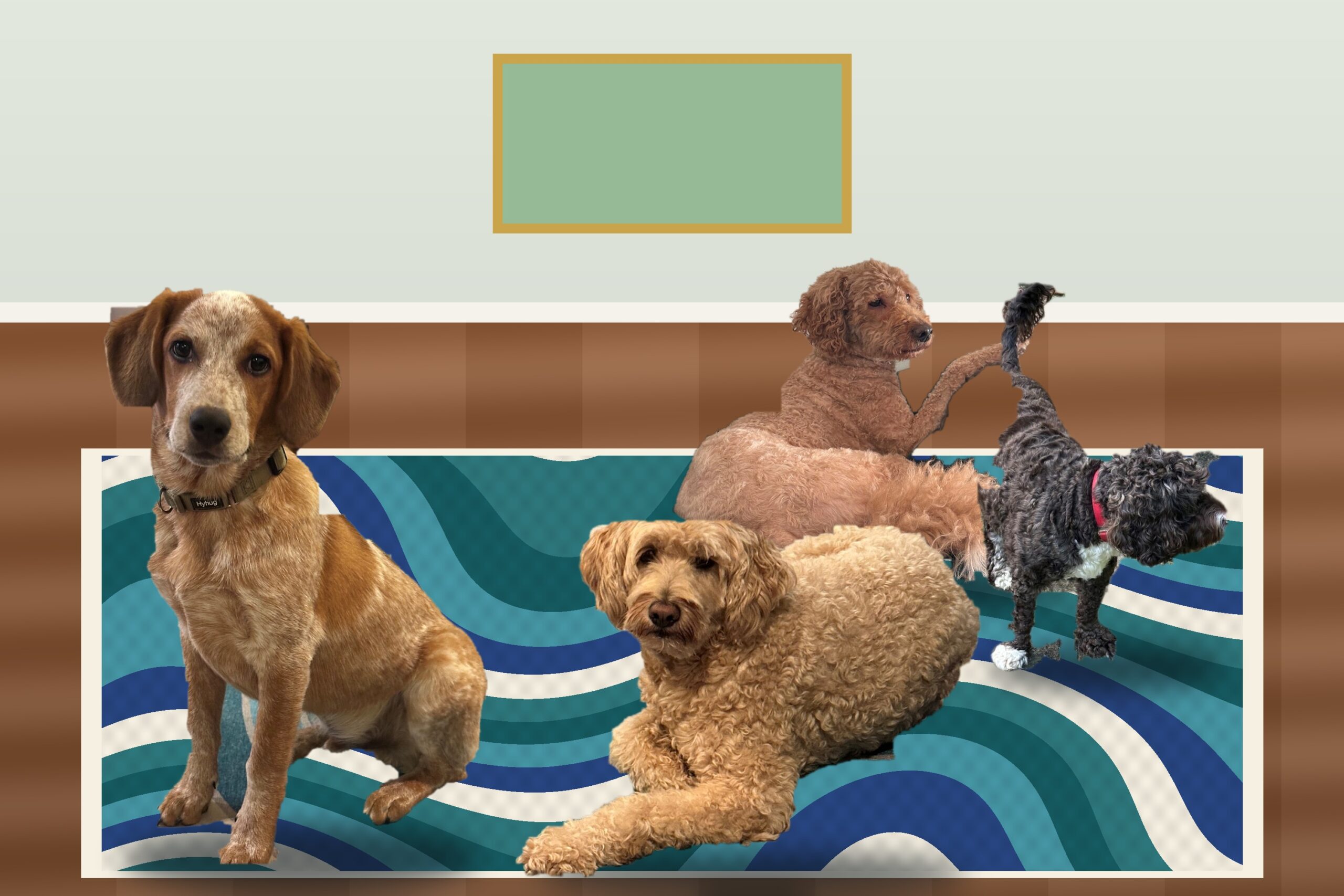 Strekel dogs